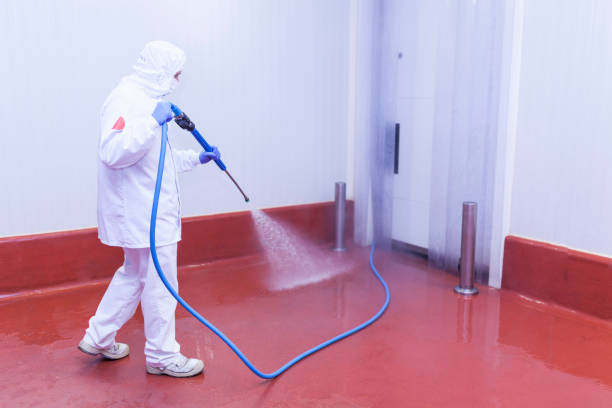 Best Sidewalk and Walkway Pressure Cleaning in King, WI